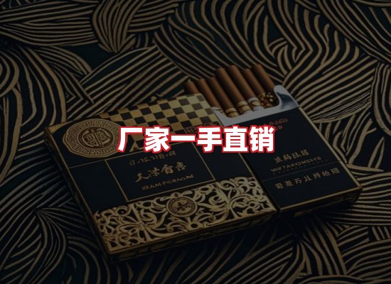 专业团队